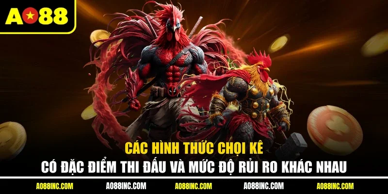 Các hình thức chọi kê có đặc điểm thi đấu và mức độ rủi ro khác nhau
