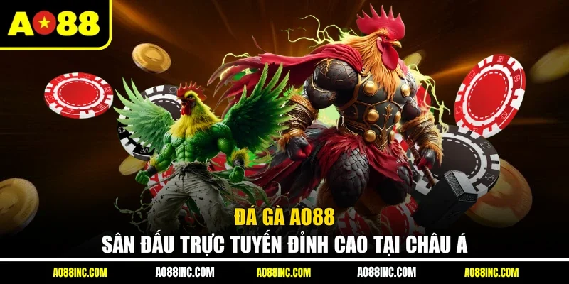 Đá Gà AO88 - Sân Đấu Trực Tuyến Đỉnh Cao Tại Châu Á