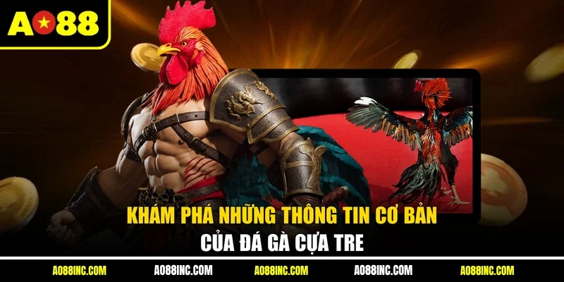 Khám phá những thông tin cơ bản của đá gà cựa tre