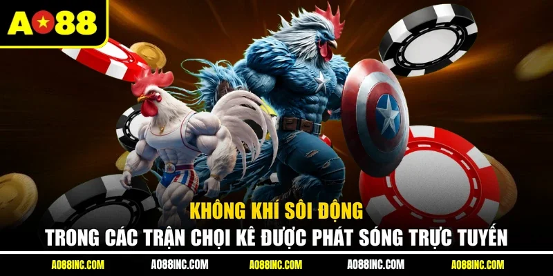Không khí sôi động trong các trận chọi kê được phát sóng trực tuyến