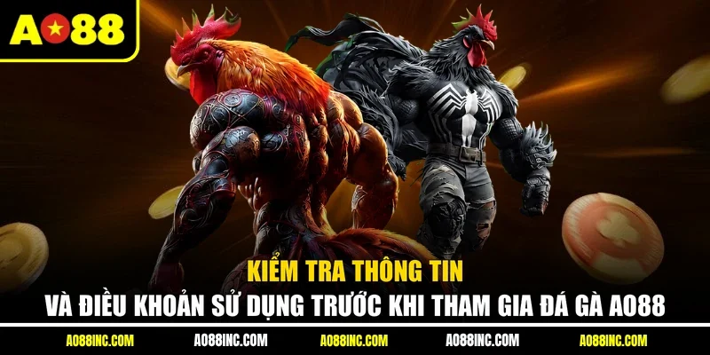 Kiểm tra thông tin và điều khoản sử dụng trước khi tham gia đá gà AO88