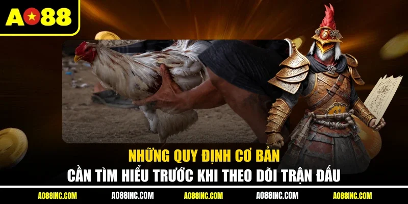 Những quy định cơ bản cần tìm hiểu trước khi theo dõi trận đấu